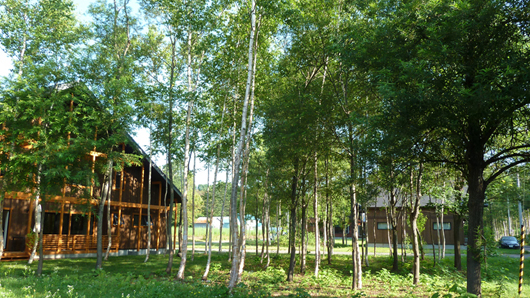 niseko01