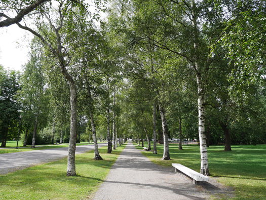finland22
